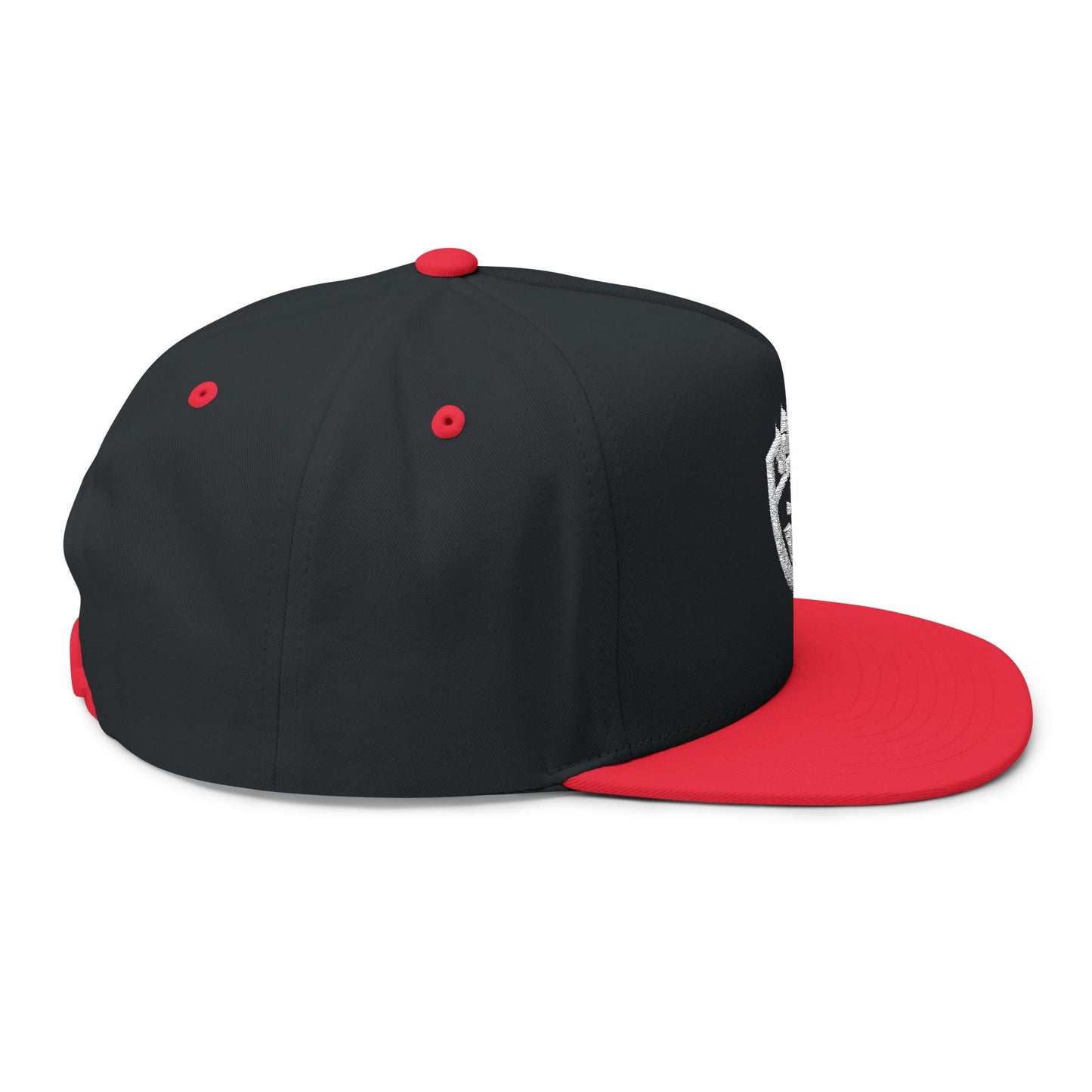 Embroidered 3VI Bear Claw Flat Bill Cap — Snapback Hat