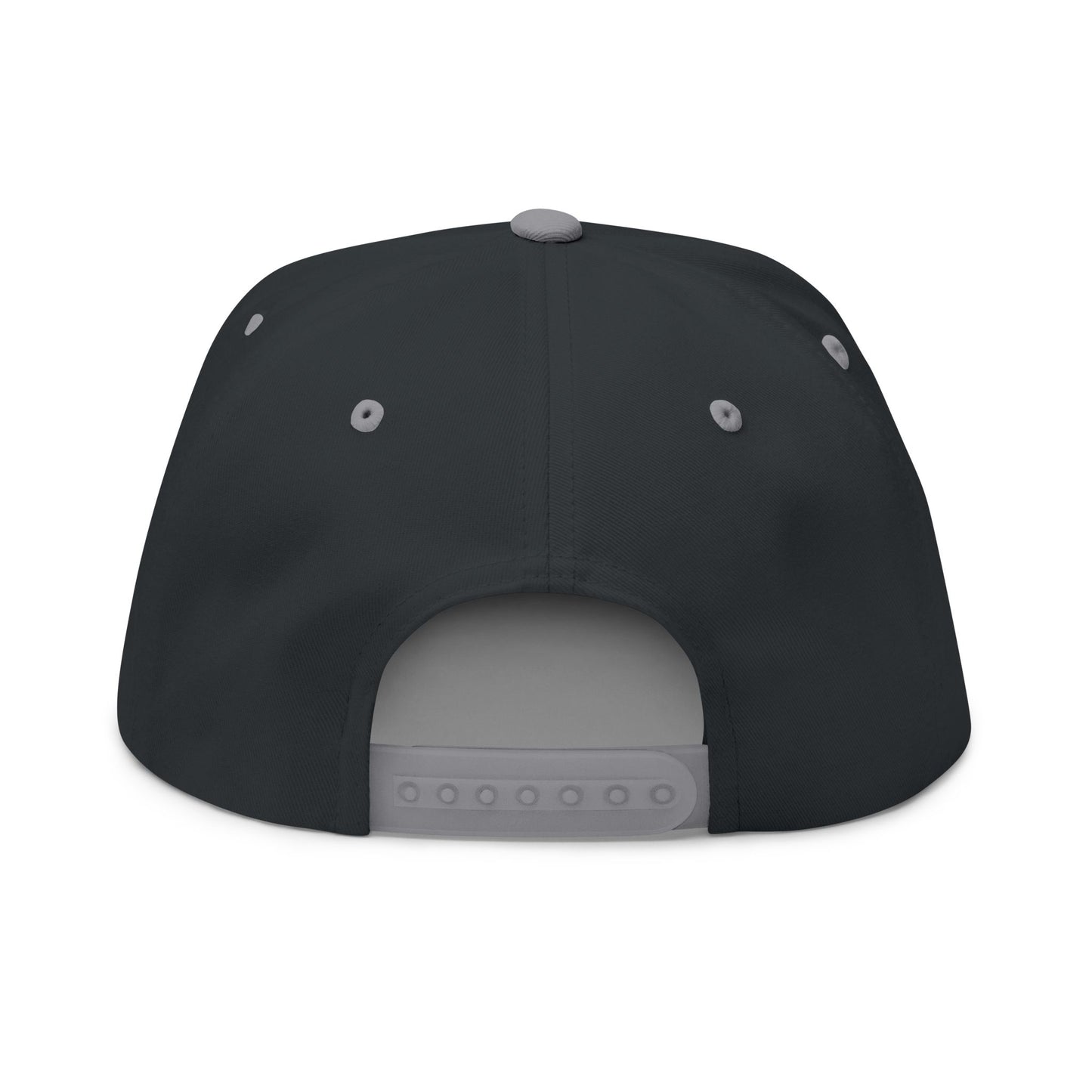 Embroidered 3VI Bear Claw Flat Bill Cap — Snapback Hat