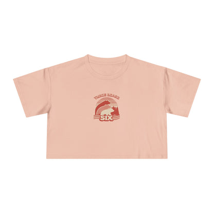 Crop Tee — 'Three Bears Six' Retro Sunset Graphic