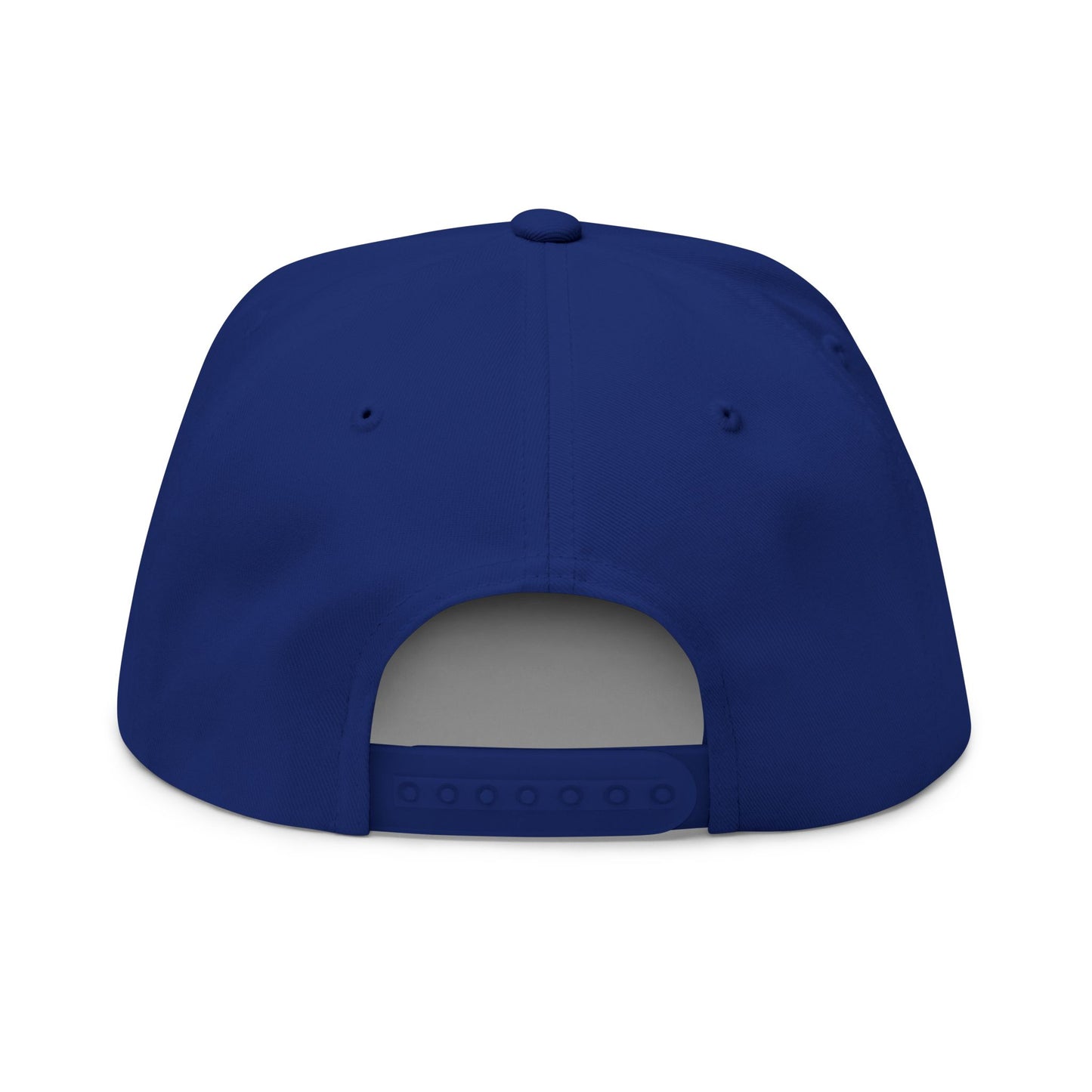 Embroidered 3VI Bear Claw Flat Bill Cap — Snapback Hat