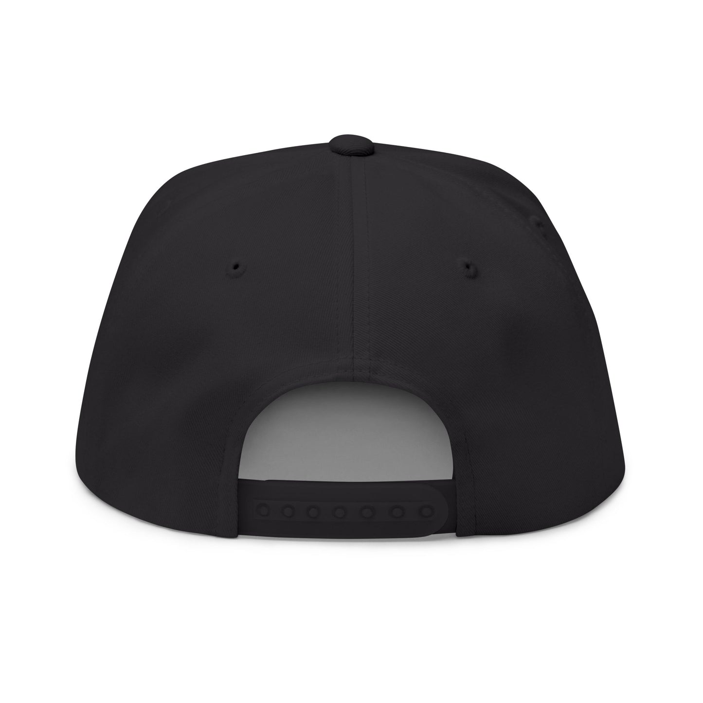 Embroidered 3VI Bear Claw Flat Bill Cap — Snapback Hat