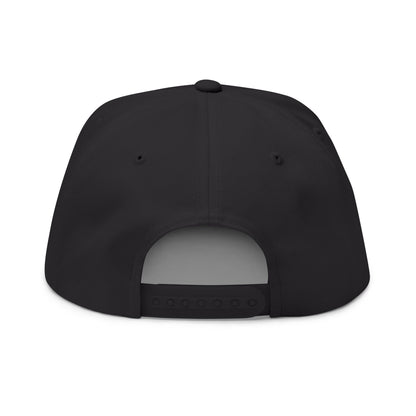 Embroidered 3VI Bear Claw Flat Bill Cap — Snapback Hat