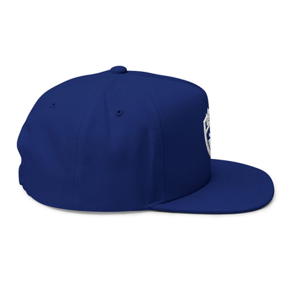 Embroidered 3VI Bear Claw Flat Bill Cap — Snapback Hat