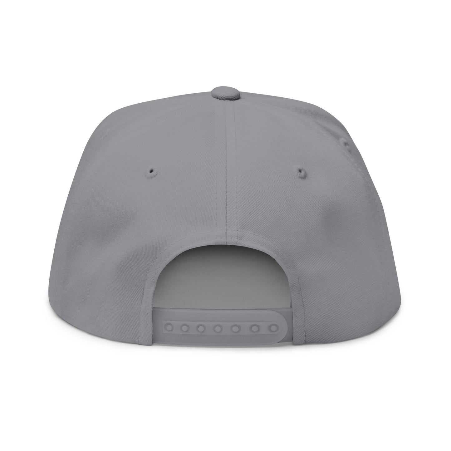 Embroidered 3VI Bear Claw Flat Bill Cap — Snapback Hat